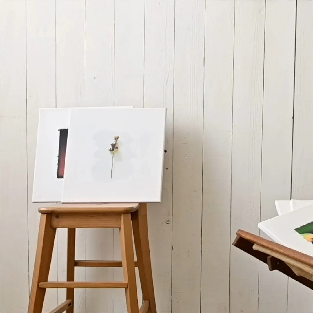 協力　ヘアーメイク tooku.miiku 