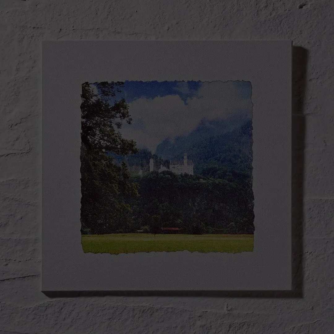 写真を、キャンバスに転写したアート作品